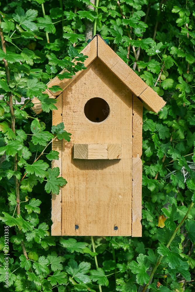 Wooden birdhouse in green leaves