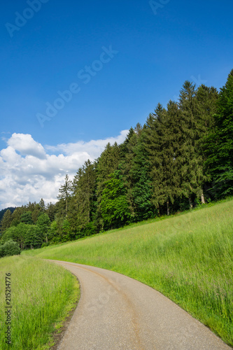 Germany, Black forest road next to edge of the forest