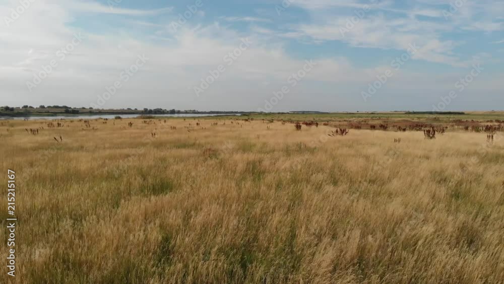 The floodplain area of the Vistula River. The floodplain area of the Vistula River.