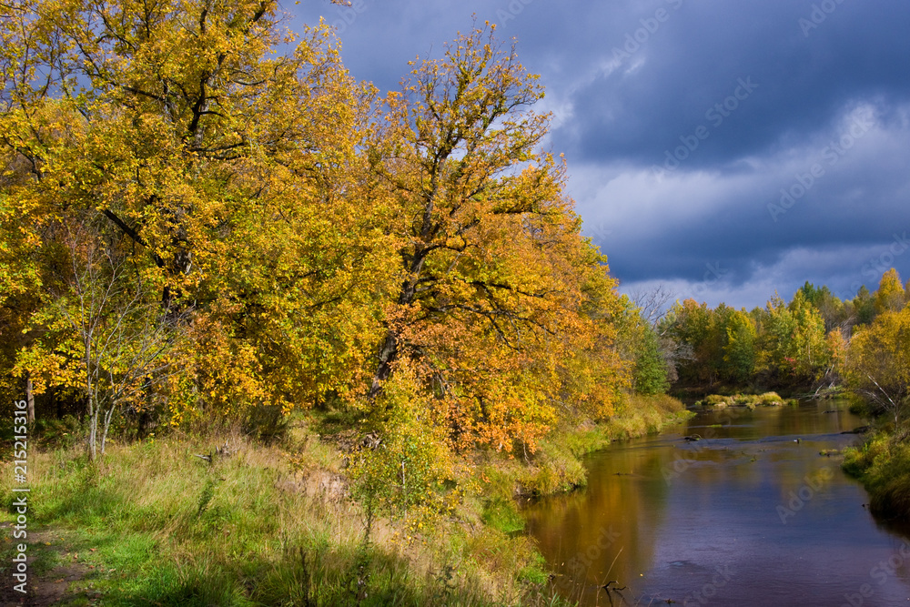 River in the autumn forest in cloudy weather