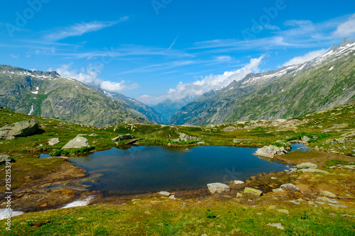 Fototapeta Naklejka Na Ścianę i Meble -  Summer landscape of Switzerland nature at Grimsel pass