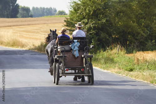 Carriage with horses