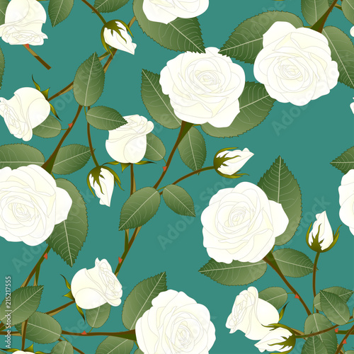 White Rose on Green Teal Ba...