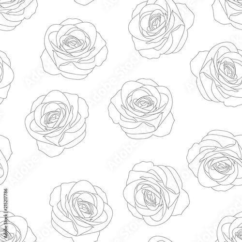 Rose Outline Background