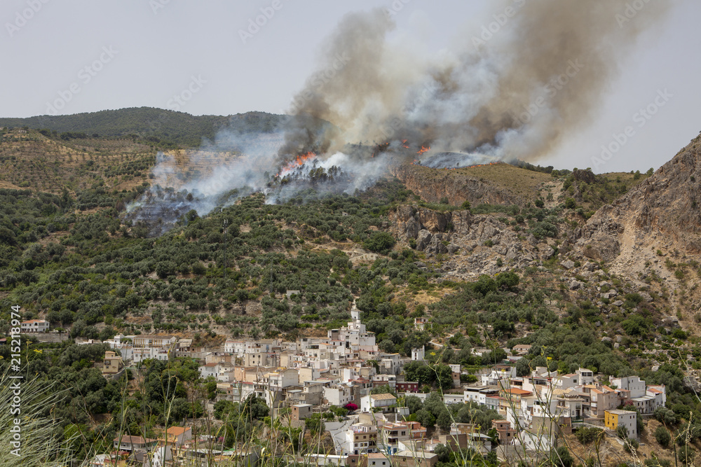 Fototapeta premium Incendio forestal en los bosques de Granada, España