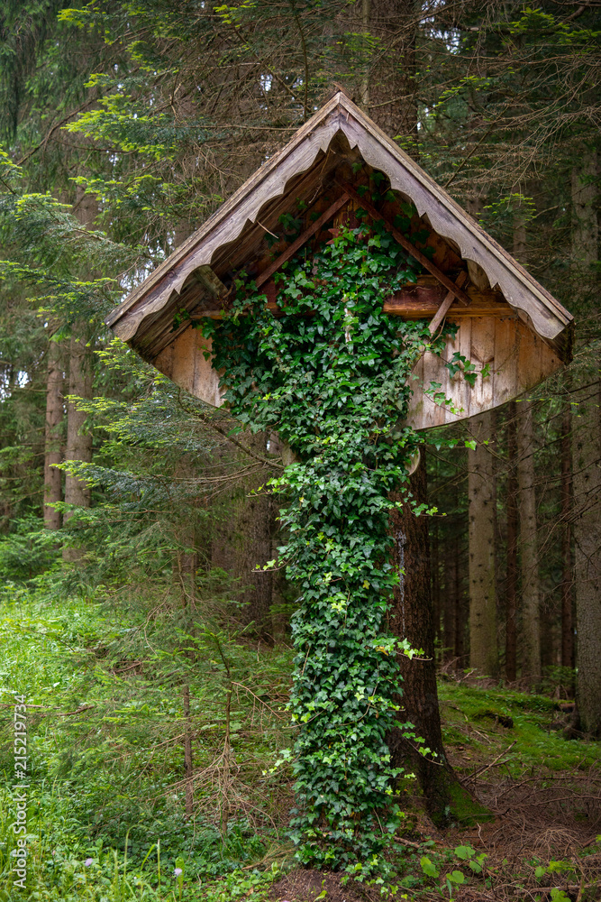 Efeubewachsenes Wegkreuz - vom Glauben verlassen Efeubewachsenes Wegkreuz - vom Glauben verlassen