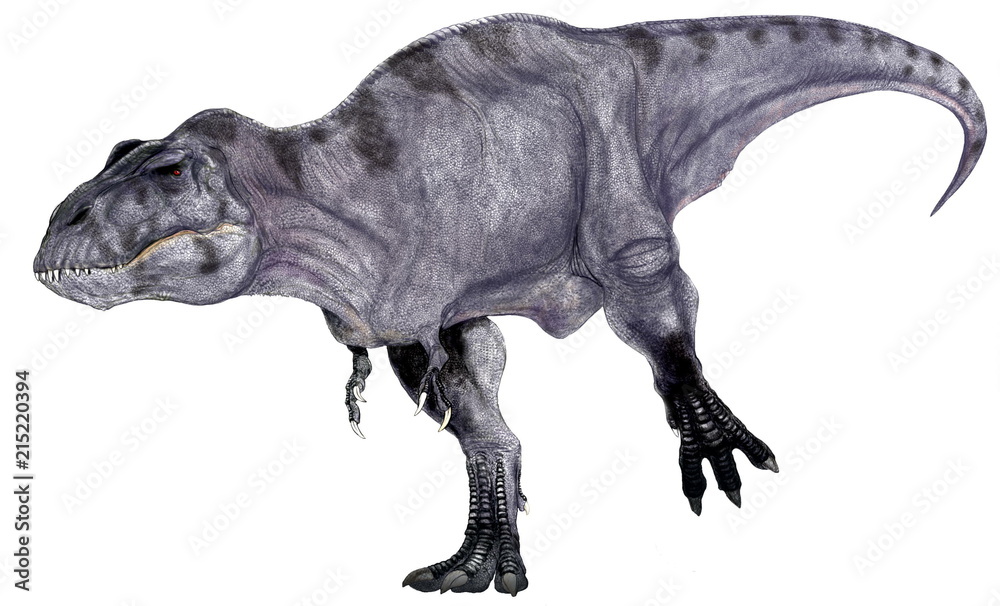 ティラノサウス レックス 白亜紀の肉食恐竜 再現骨格に肉付けする手法で描いたイラスト画像です 口を閉じています Stock Illustration Adobe Stock
