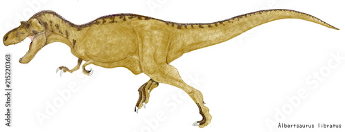 白亜紀後期の恐竜、アルバートサウルスのイアラスト画像です。黄土色の体色で描いています。 © Mineo