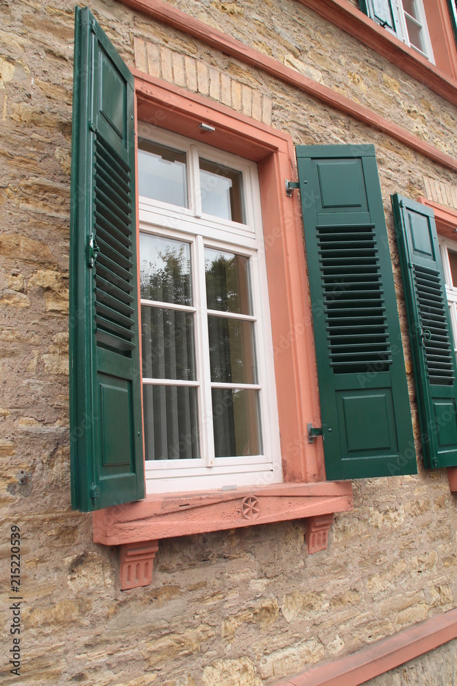 Obraz premium Green Window Shutter