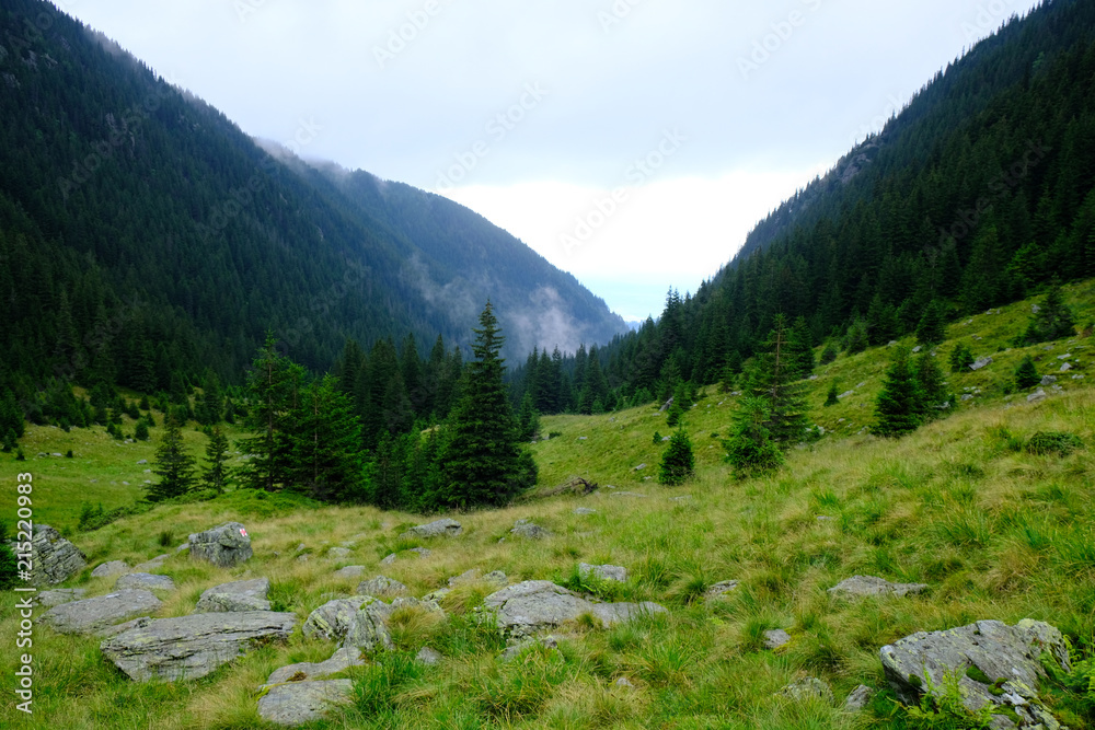 Rumunia, Karpaty Rumuńskie - Góry Fagaras, wzdłuż rzeki Balea w Dolinie Doamnele (Dolina Księżniczki)