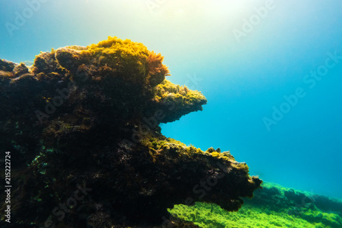 Underwater rocks and cave. Aquatic life background. © cegli