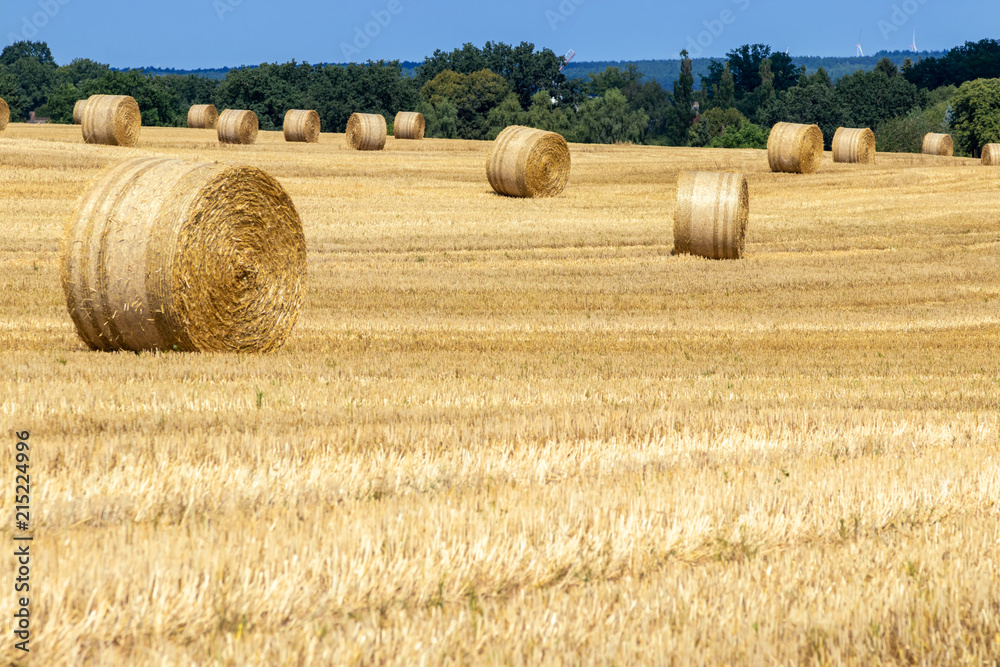 Harvest time, field with hay bales in the Lüneburg Heath, Northern Germany. Harvest time, field with hay bales in the Lüneburg Heath, Northern Germany.