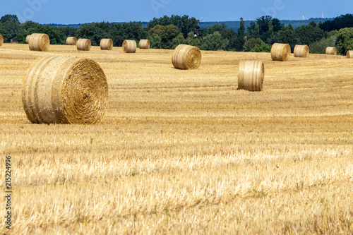 Картината върху платно Harvest time, field with hay bales in the Lüneburg Heath, Northern Germany