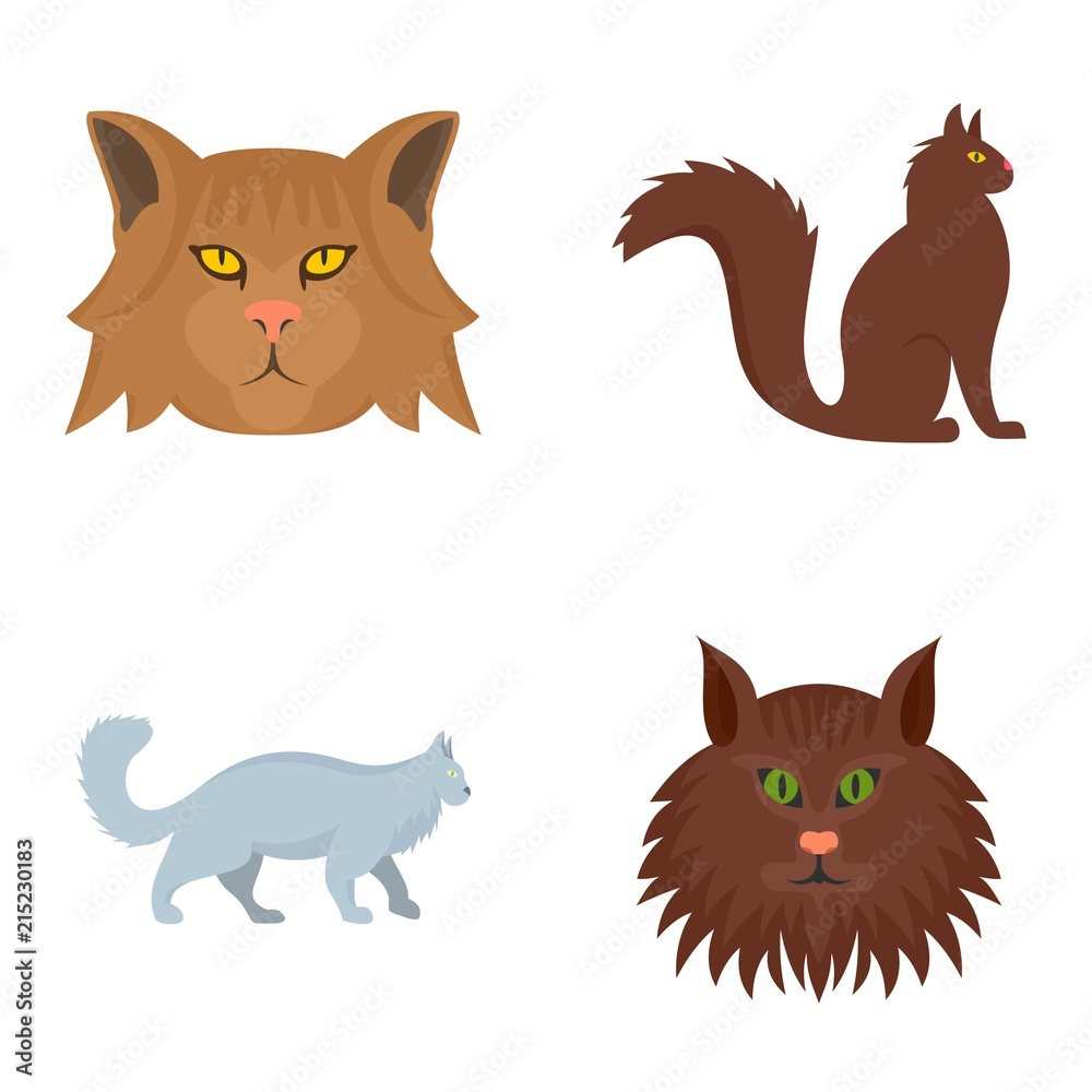 Maine coon cat profile icons set. Flat illustration of 4 maine coon cat profile vector icons isolated on white