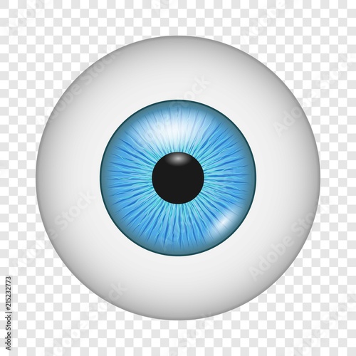 Eyesight icon. Realistic illustration of eyesight vector icon for on transparent background