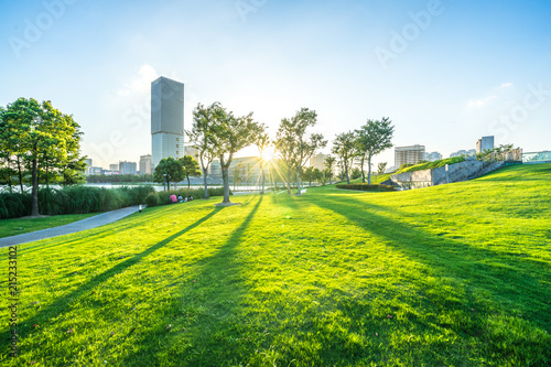 city skyline with green lawn
