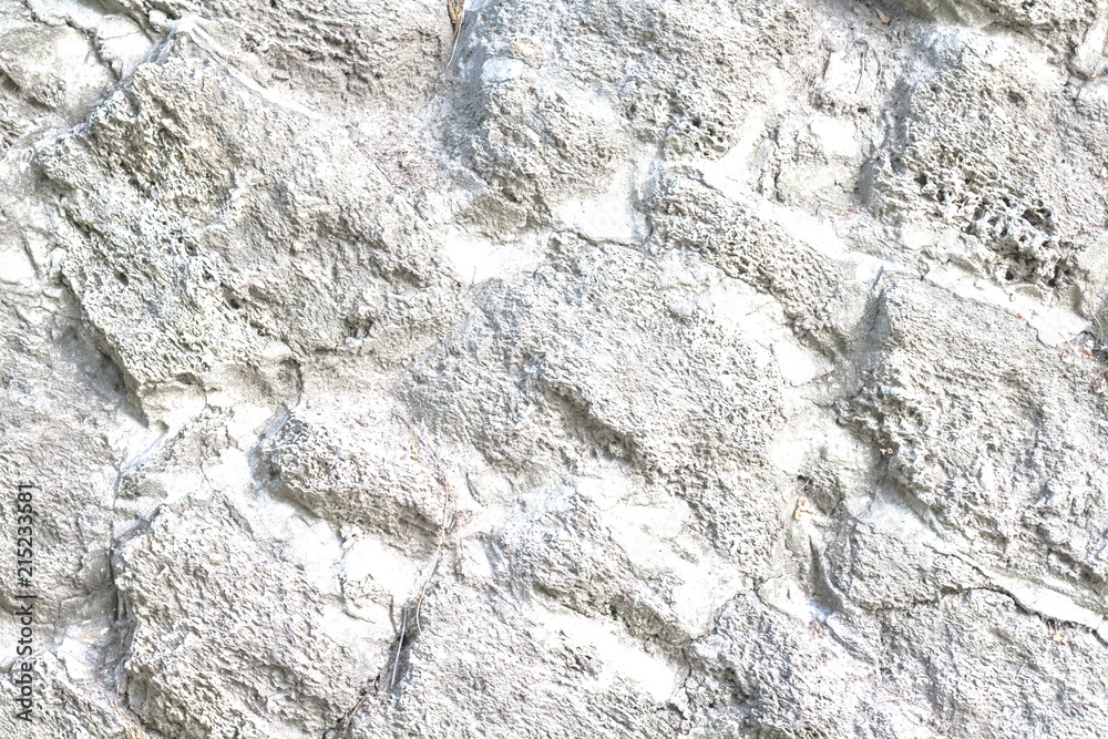 texture of natural shell rock