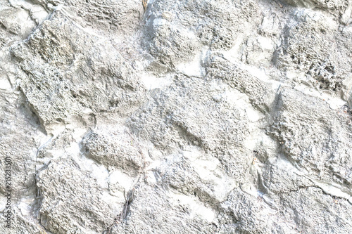 texture of natural shell rock