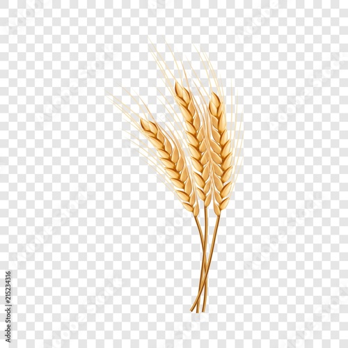 Eco wheat icon. Realistic illustration of eco wheat vector icon for on transparent background