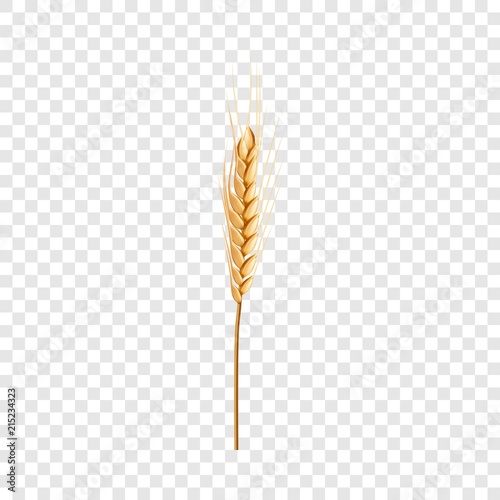 Natural wheat icon. Realistic illustration of natural wheat vector icon for on transparent background photo