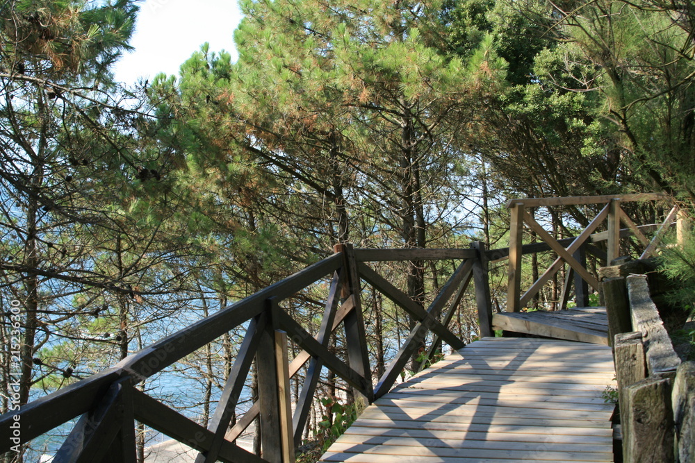 balade arcachon balade arcachon