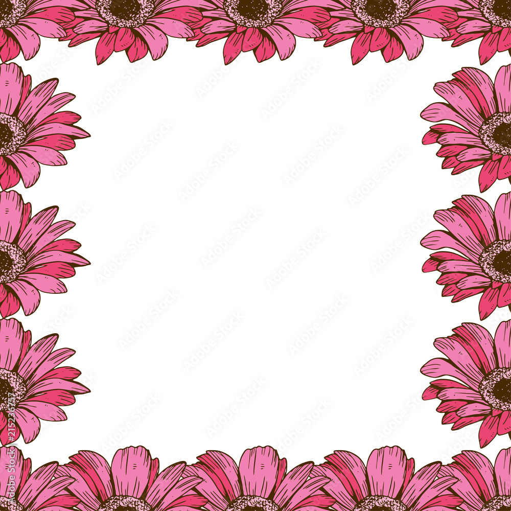 A beautiful floral frame of pink daisies. Flower design for cards, banners, posters and so on. Botanical vector illustration. A beautiful floral frame of pink daisies. Flower design for cards, banners, posters and so on. Botanical vector illustration.