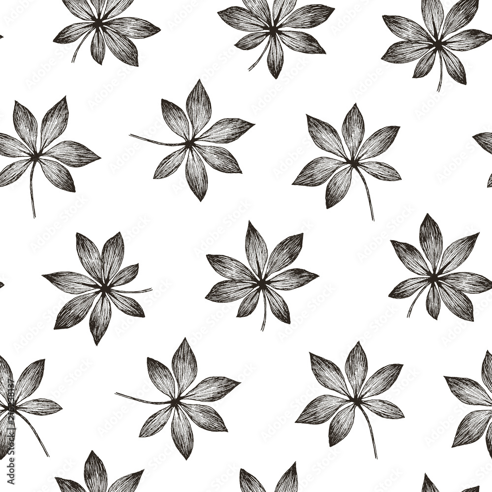 Tropic plants floral seamless jungle aralia pattern. Print vector background of fashion summer wallpaper palm leaves in black and white gray style