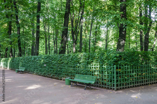 View of lanes in Letny Sad (Summer Garden), St Petersburg, Russia photo