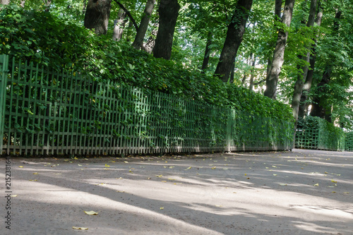 View of lanes in Letny Sad (Summer Garden), St Petersburg, Russia photo