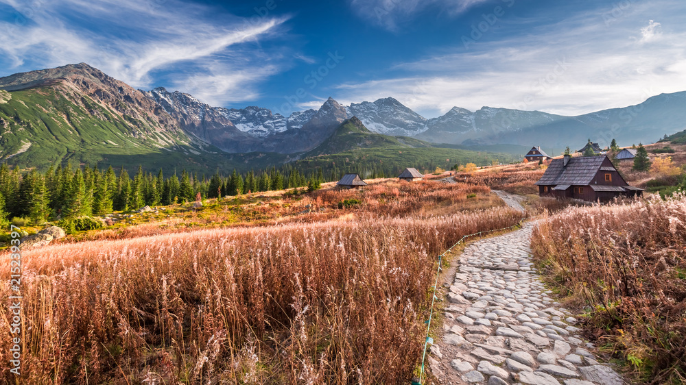 Naklejka premium Wonderful path in the mountain valley, Tatras in Poland