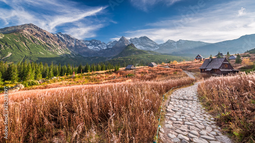 Obraz na płótnie Wonderful path in the mountain valley, Tatras in Poland w salonie
