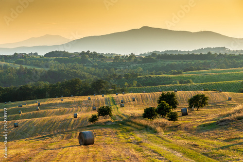 Fresh bales of hay in an Umbrian field at sunset. photo