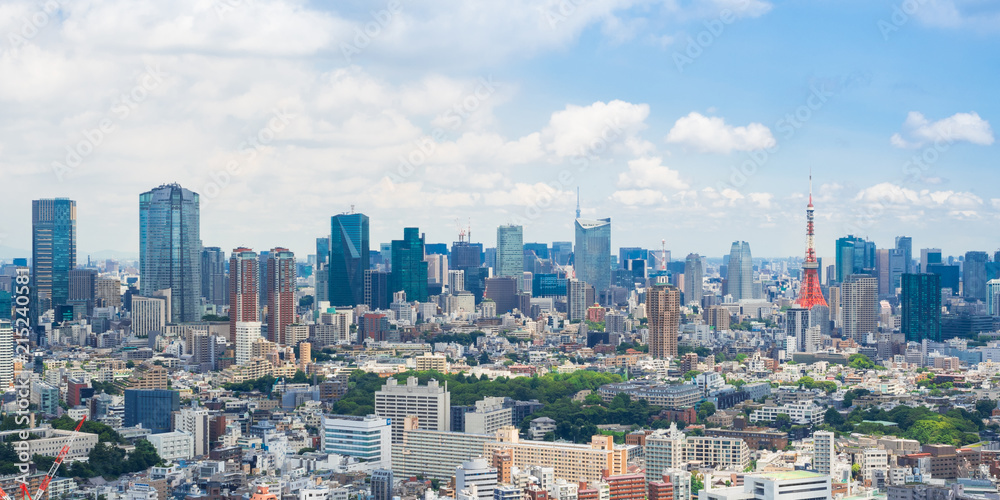 Naklejka premium 東京 青空と都市風景