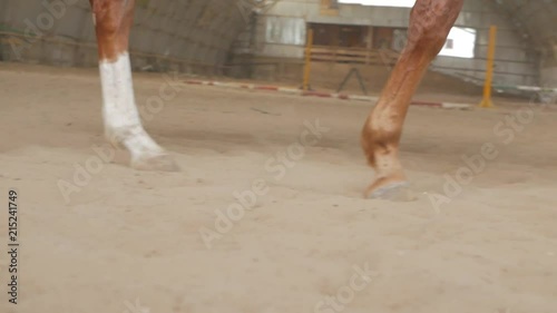 Horse Hooves Close Up Slow Motion