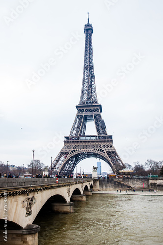 Seine River and the Tour Eiffel at the end of winter © anamejia18