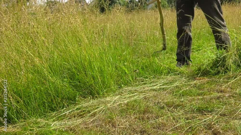 custom made wallpaper toronto digitalA man mows the meadow grass with a hand braid.