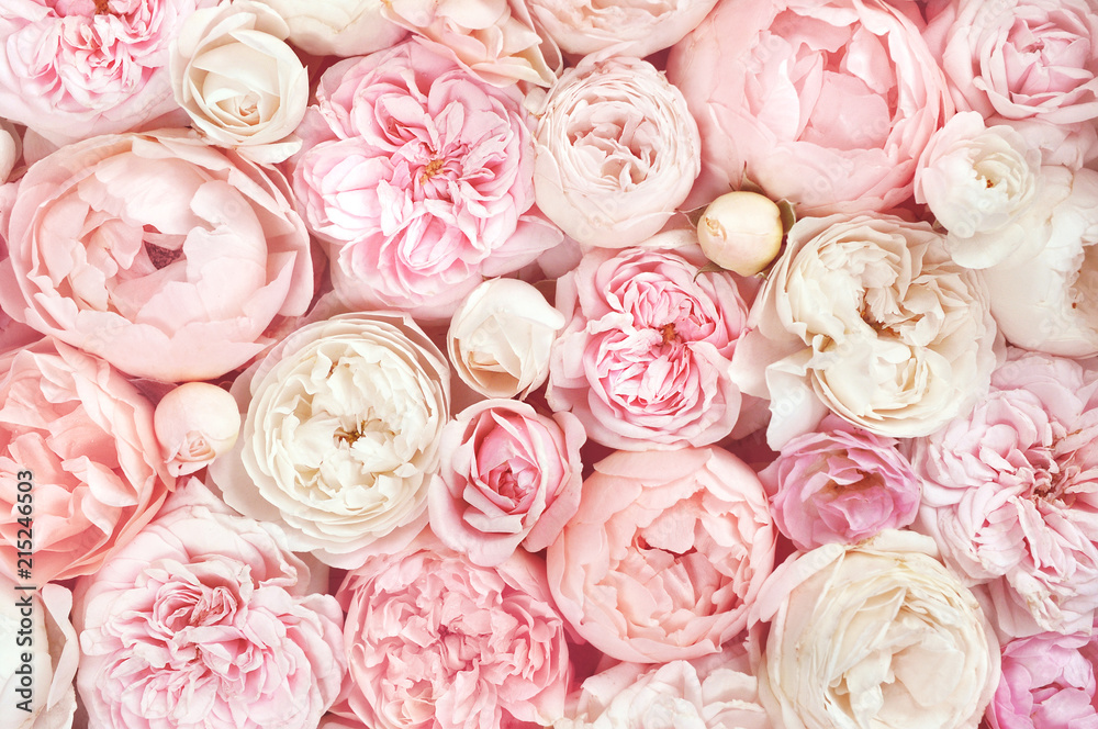 Naklejka premium Lato kwitnie delikatną różę na kwitnących kwiatach świątecznego tła, pastelu i miękkiego bukieta kwiecistej karcie