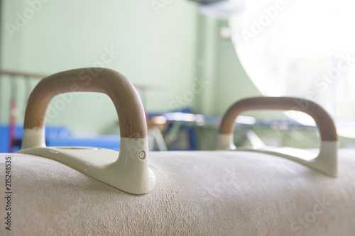 Gymnastic equipment in vintage style set in the gym