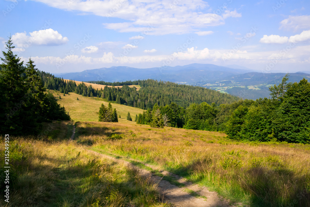 Wielka Rycerzowa, Beskid mountains, Poland, Europe - beautiful landscape and countryside. Hills and meadows in the summer evening.