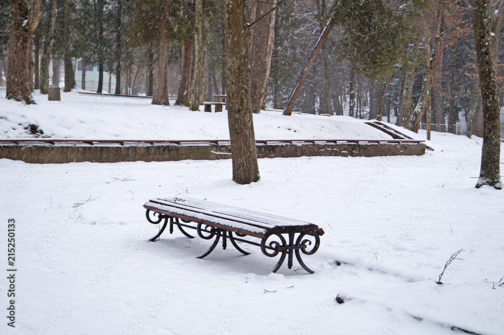 custom made wallpaper toronto digitalA bench in a winter park covered with snow on a winter day