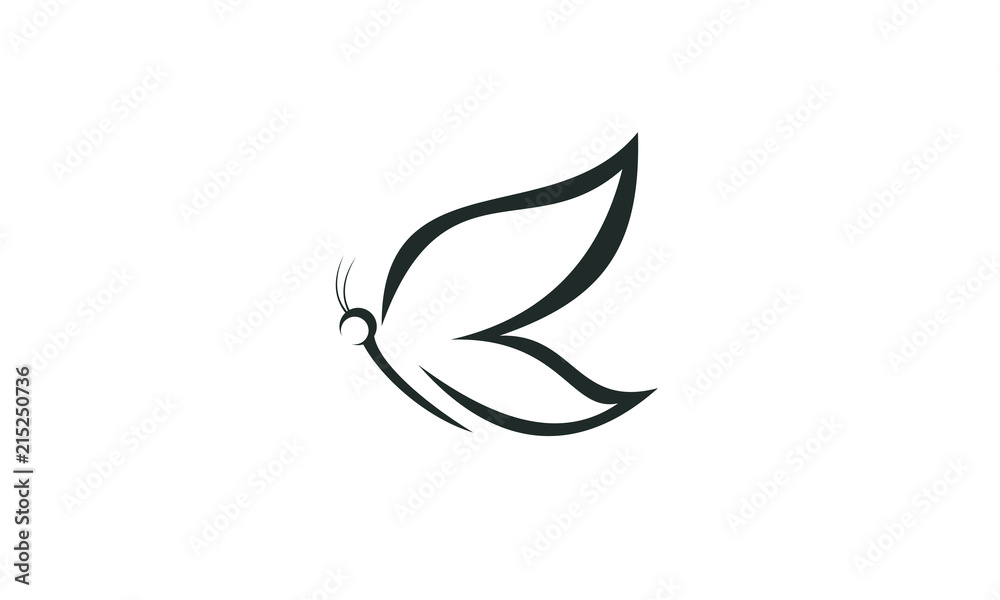 butterfly vector butterfly vector