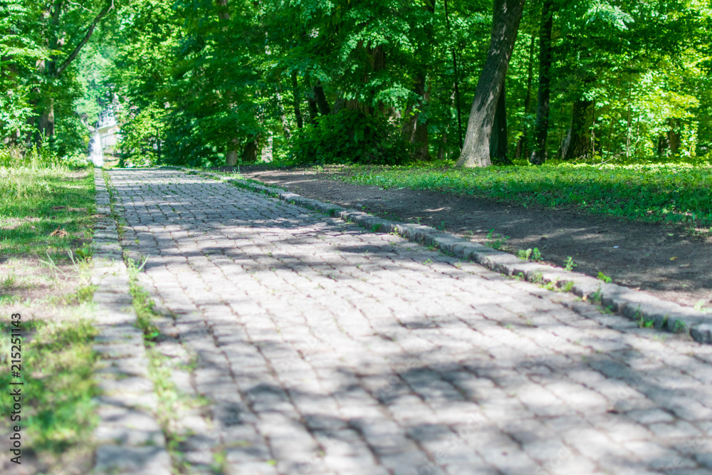 Stone road in the park. Stone road in the park.
