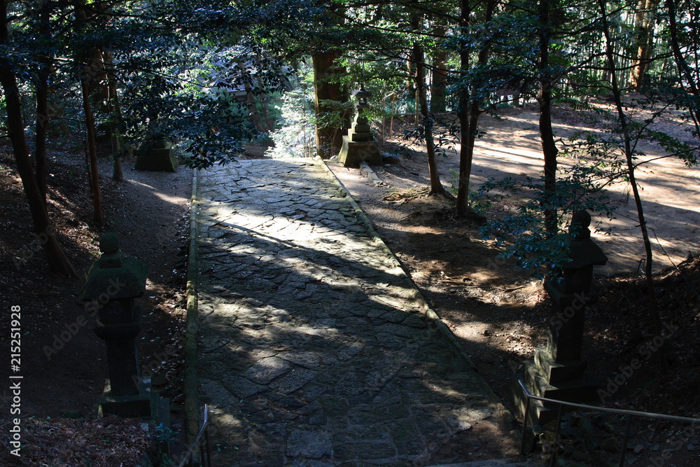 神社境内 神社境内