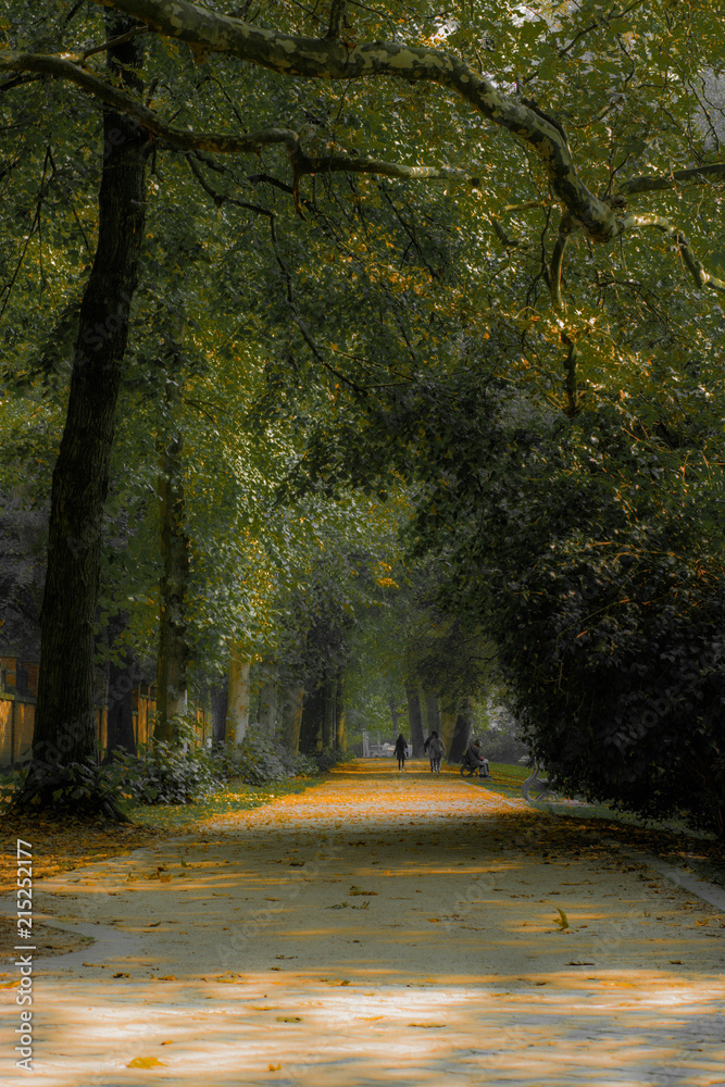 Naklejka premium fairytale