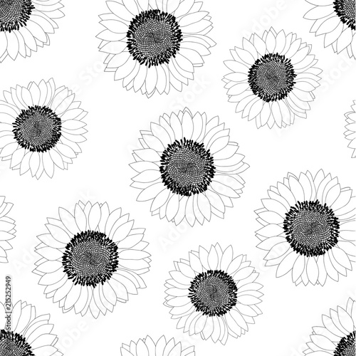 Fototapeta Naklejka Na Ścianę i Meble -  Sunflower Outline Seamless on White Background.