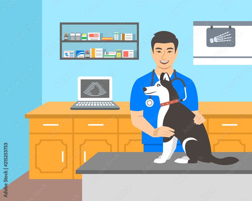 Young man veterinarian doctor holds husky dog on examination table in vet  clinic. Vector cartoon illustration. Pets healthcare background. Domestic  animals treatment concept. Veterinary consultation Stock Vector | Adobe  Stock