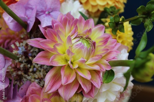 Blumenstrauß mit Dahlien, Nahaufnahme mit selektivem Fokus