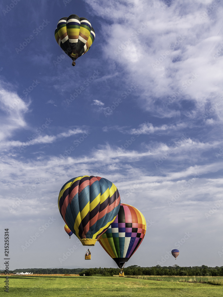 Fototapeta premium Hot Air Ballooning Festival
