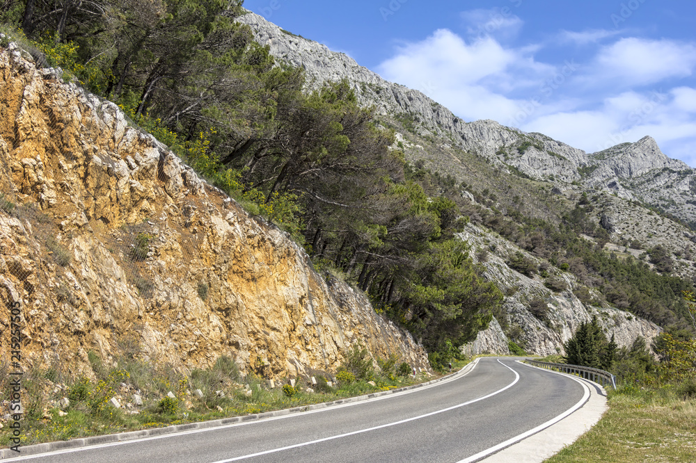 A road curve in a mountain range with pine forest