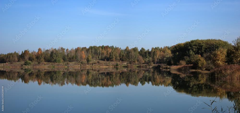 Autumn forest around the lake. Autumn forest around the lake.